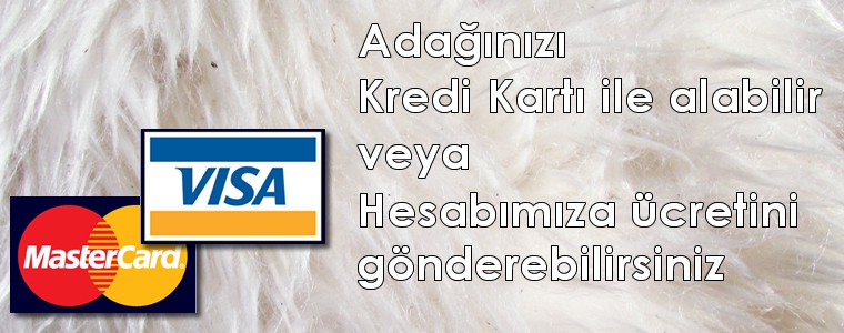 Kurbanlık adaklar